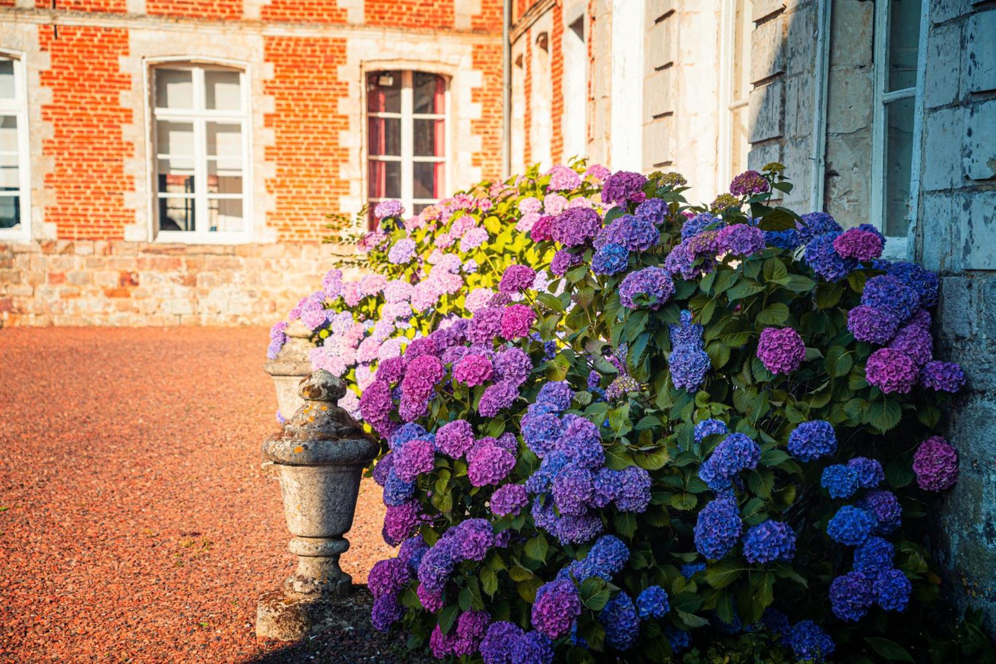 Chambres d'hôtes du Château de Grand Rullecourt Liencourt Exterior foto
