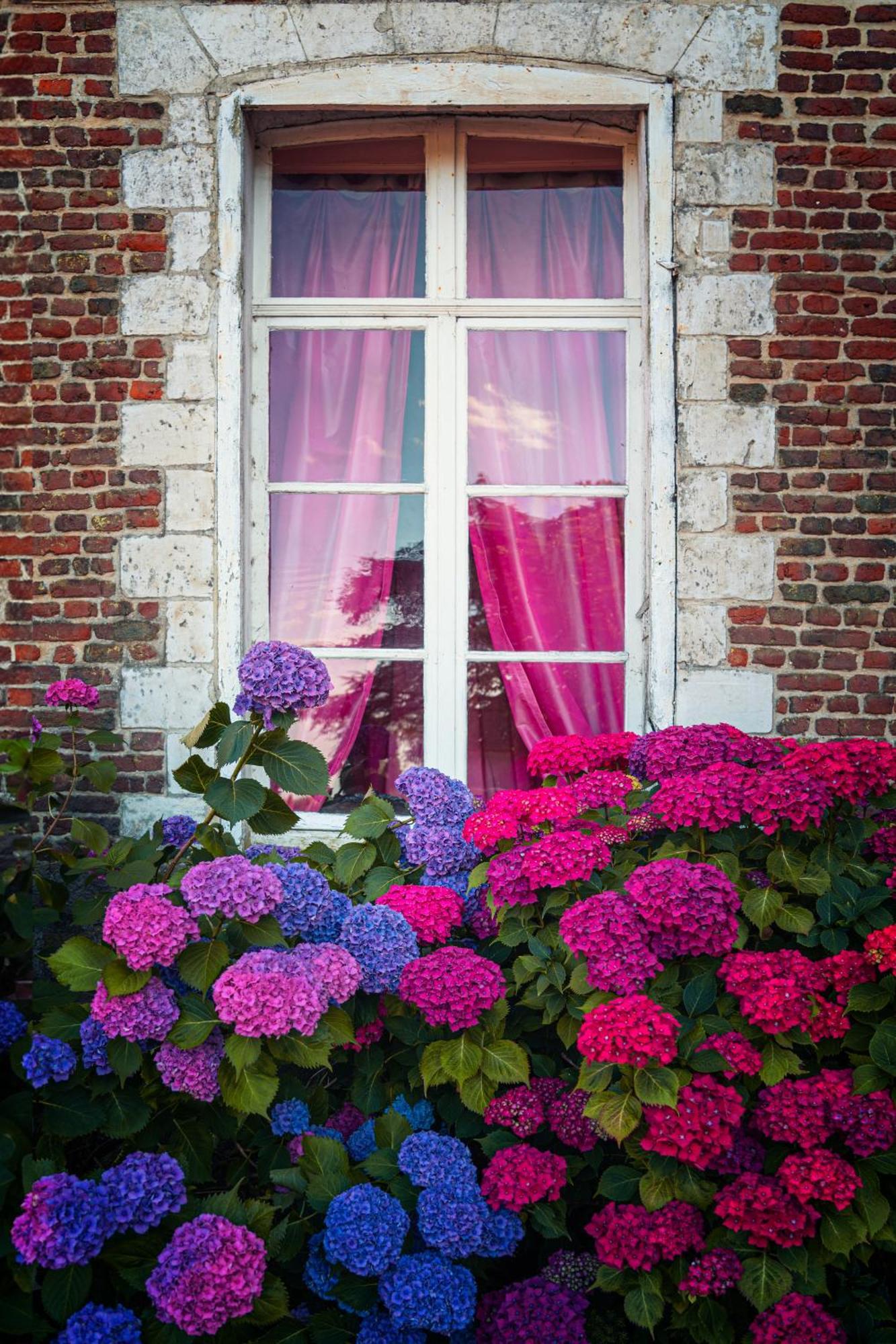 Chambres d'hôtes du Château de Grand Rullecourt Liencourt Exterior foto