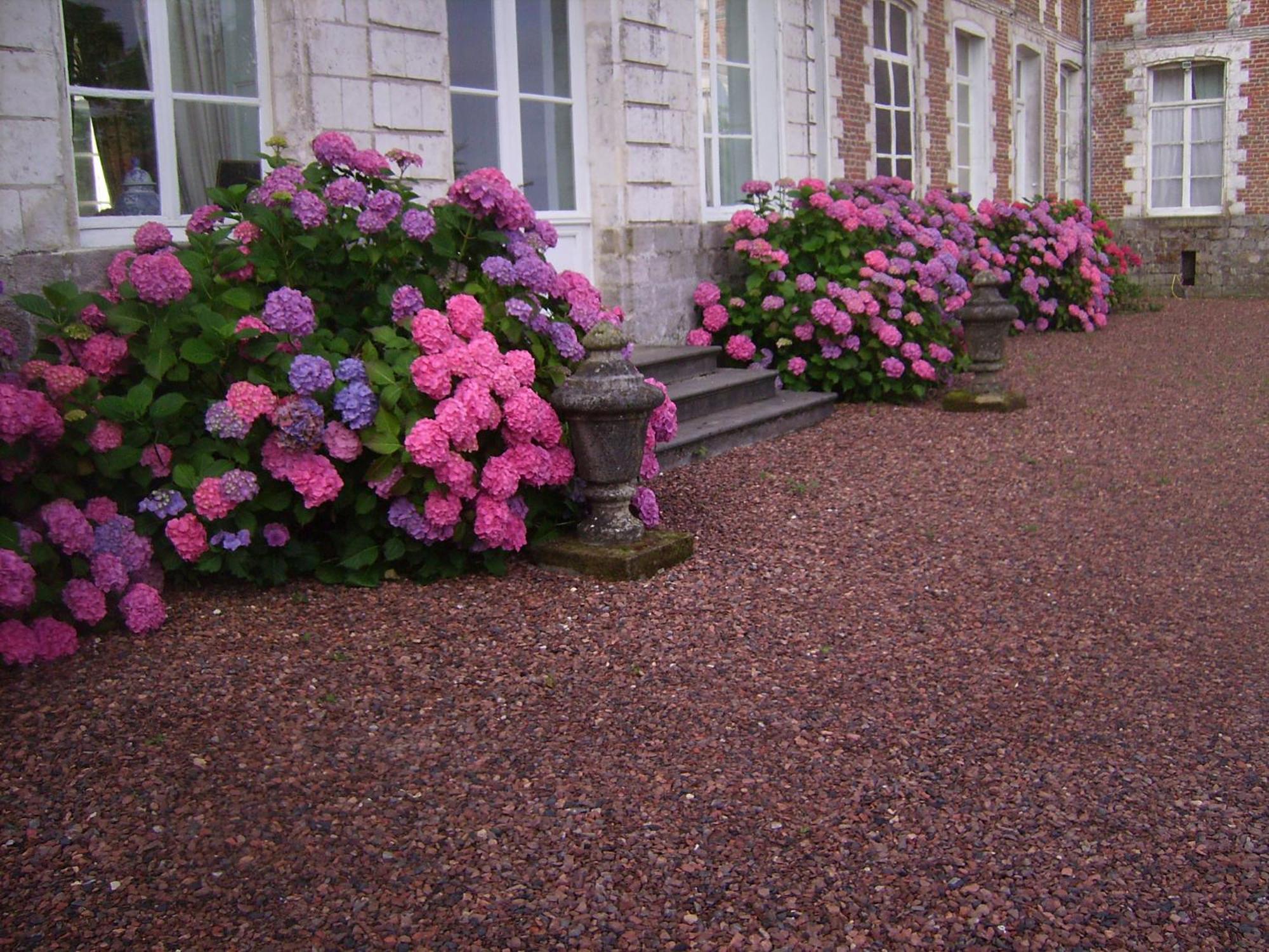 Chambres d'hôtes du Château de Grand Rullecourt Liencourt Exterior foto