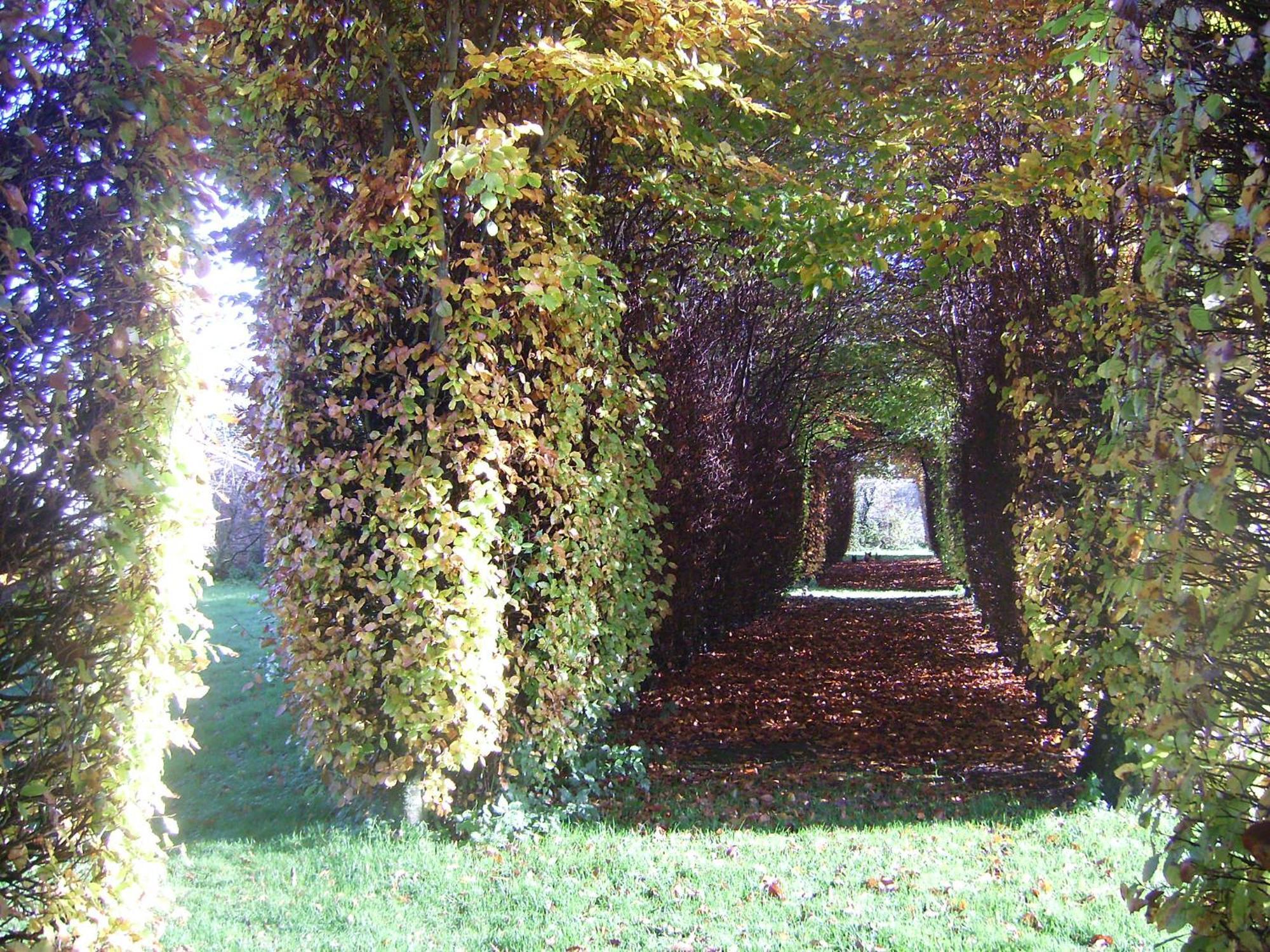 Chambres d'hôtes du Château de Grand Rullecourt Liencourt Exterior foto